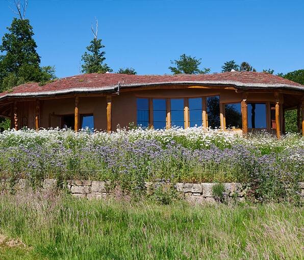 Wo Bienen summen und sich Natur und Mensch treffen: Im Schaumburger Bienenhaus beginnt die Kulturwabe 2026